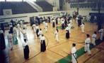 Seminar Itosu Kai  under the direction of the Japanese  masters