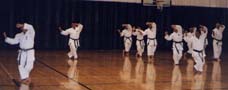 Seminar   RYOBU-KAI    of the master  K.Yamazaki / 8  Dan/